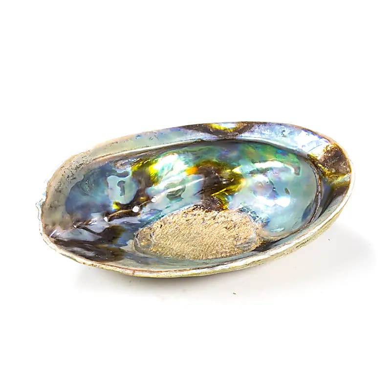 Abalone skal til smudging
