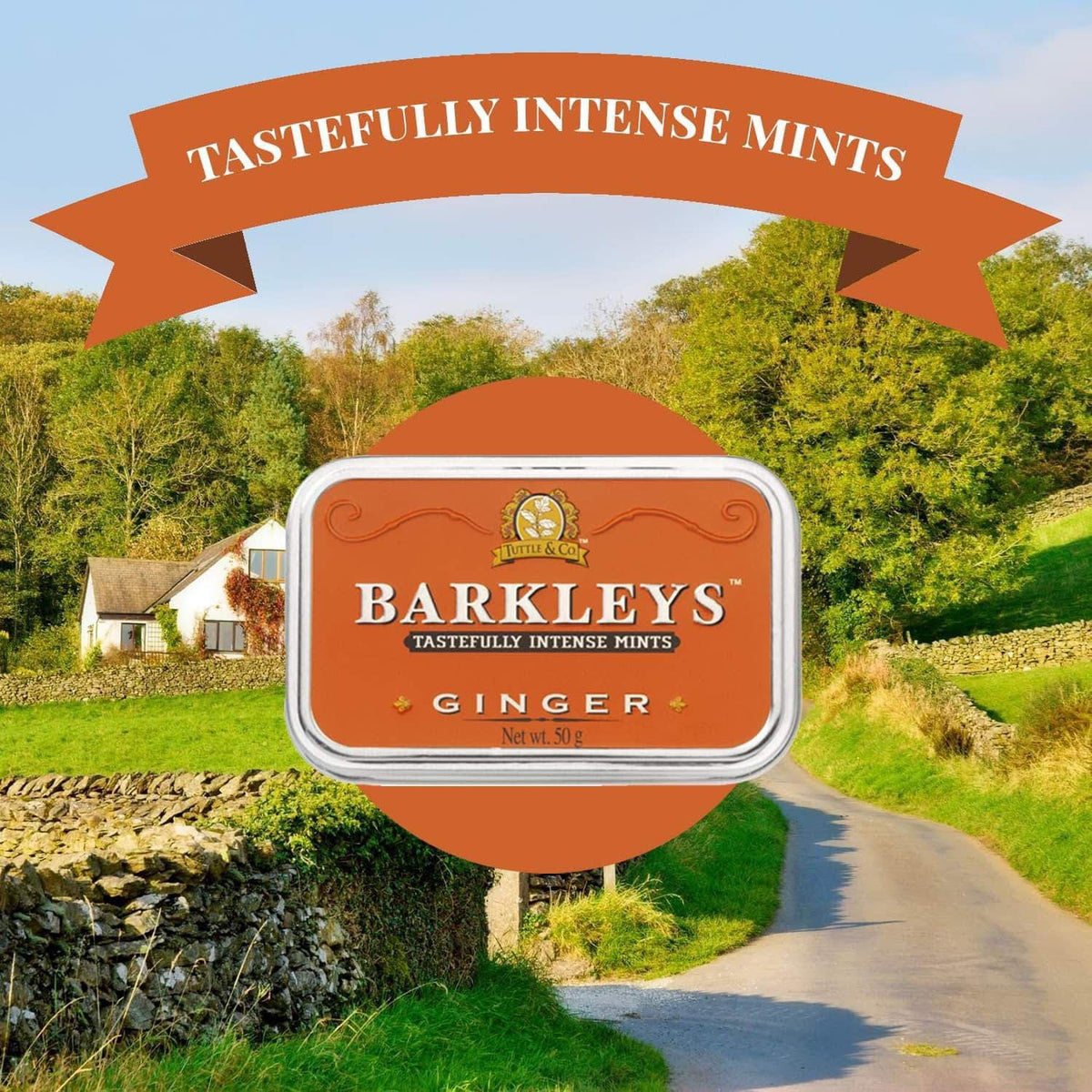 Barkleys ginger mint gourmet pastiller i naturmiljø med landskab