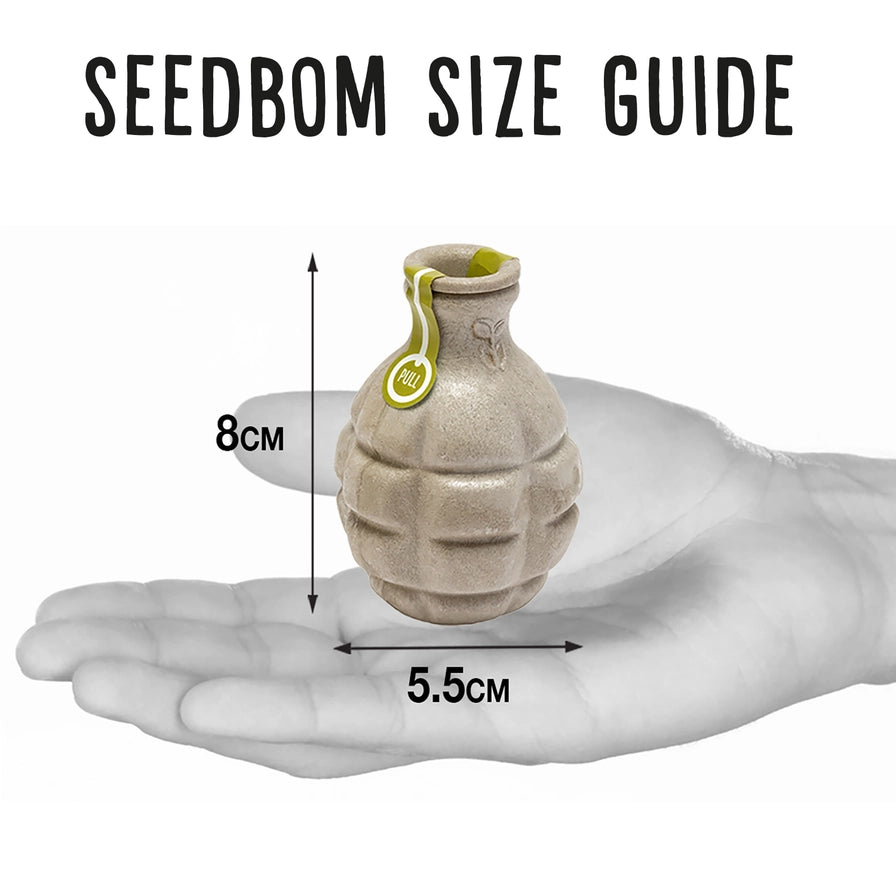 Størrelsesguide for frøbombe, 8 cm høj og 5,5 cm bred