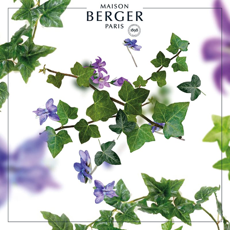 Vildtvoksende blomster og grønne blade på Maison Berger emballage