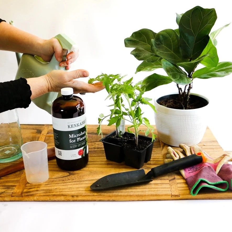 MIKROBER TIL PLANTER - NATURLIG PLANTE GØDNING