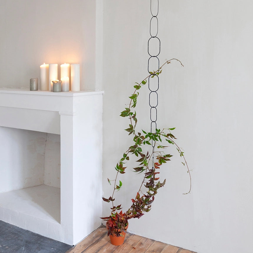 Plantestøtte til klatreplanter - Golden Brass & Black