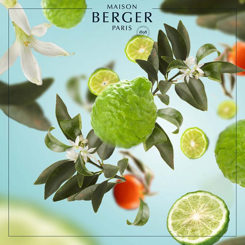 Maison Berger reklame med citrusfrugter og grønne blade, hjemduft