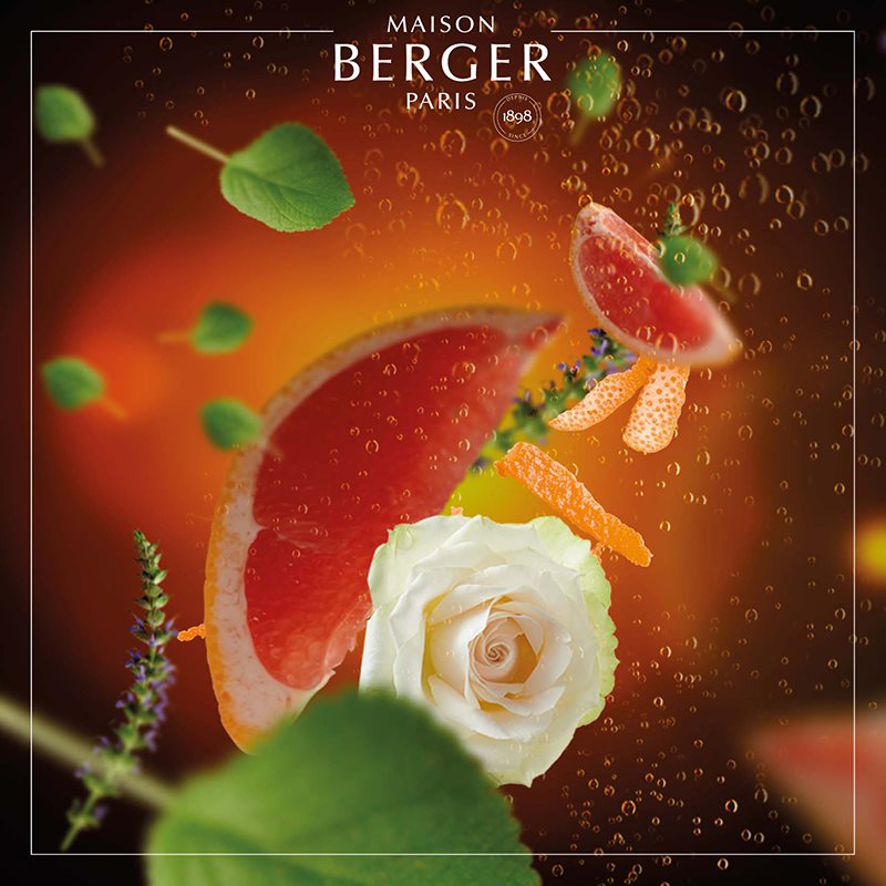Maison Berger parfumeret luftfrisker med frugt- og blomsterduft, grafisk design
