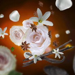 Aromatiske blomster og stjerneanis til hjemmeduft, dekorativ baggrund