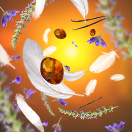 Better sleep aromaterapi – naturlig ro, afslapning &amp; bedre søvn | Studio Buus