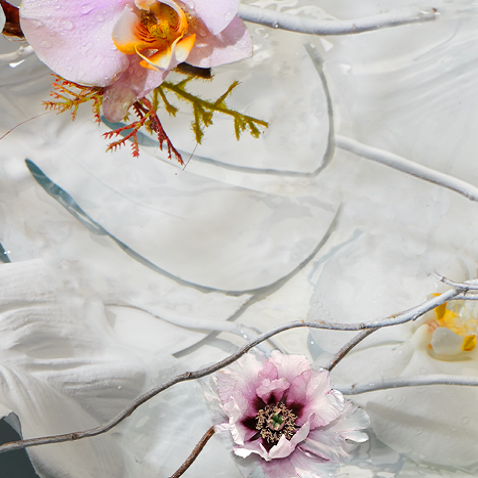 Magnolia duften – blid elegance, friskhed &amp; naturlig ro | Studio Buus