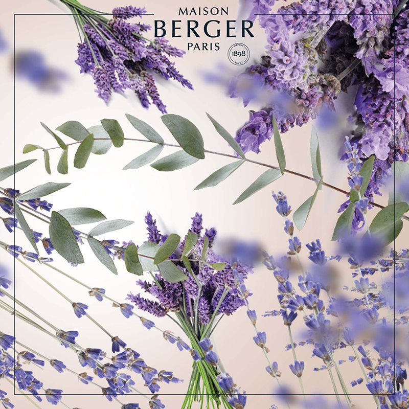 Lavender Fields fra Maison Berger – klassisk lavendelduft &amp; velvære | Studio Buus
