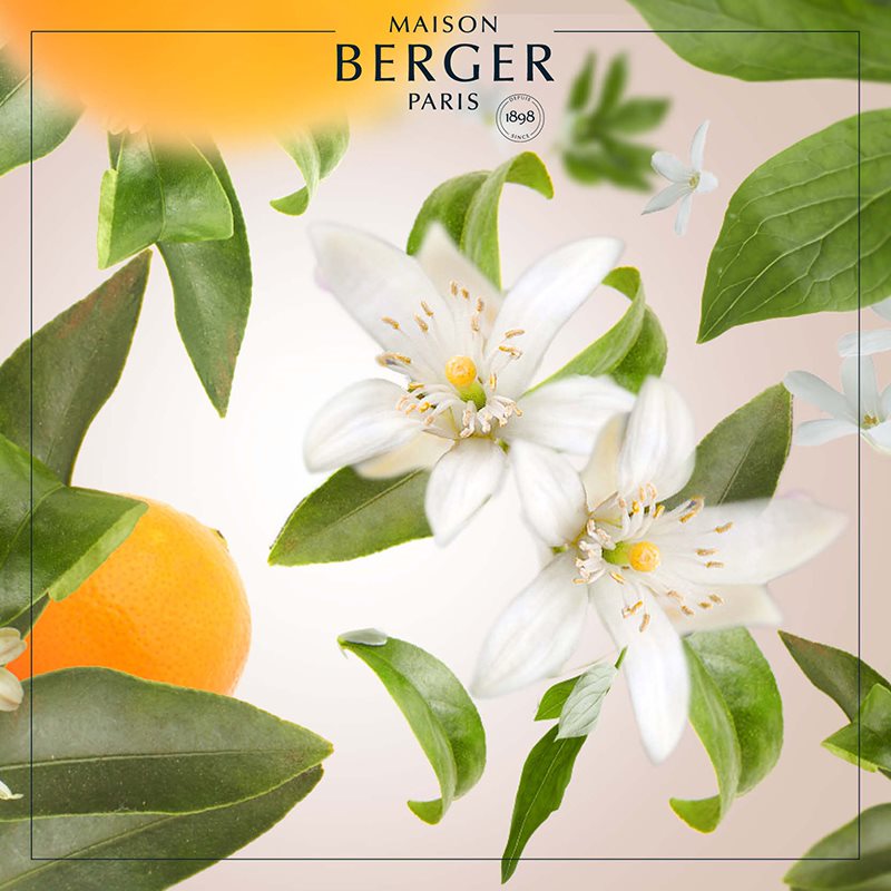 Orange Blossom – blomstrende citrusduft fra Maison Berger | Studio Buus
