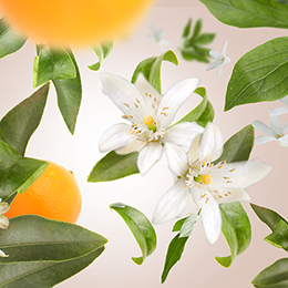 Appelsin - frisk dufte af glæde & naturlig energi | Studio Buus