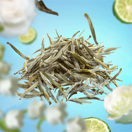 Pure White Tea – ren & elegant duft fra Maison Berger | Studio Buus