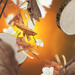 Sandalwood Temptation fra Maison Berger – sensuel & elegant træduft | Studio Buus