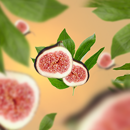 Figen – blød varme & naturlig elegance i duftform | Studio Buus