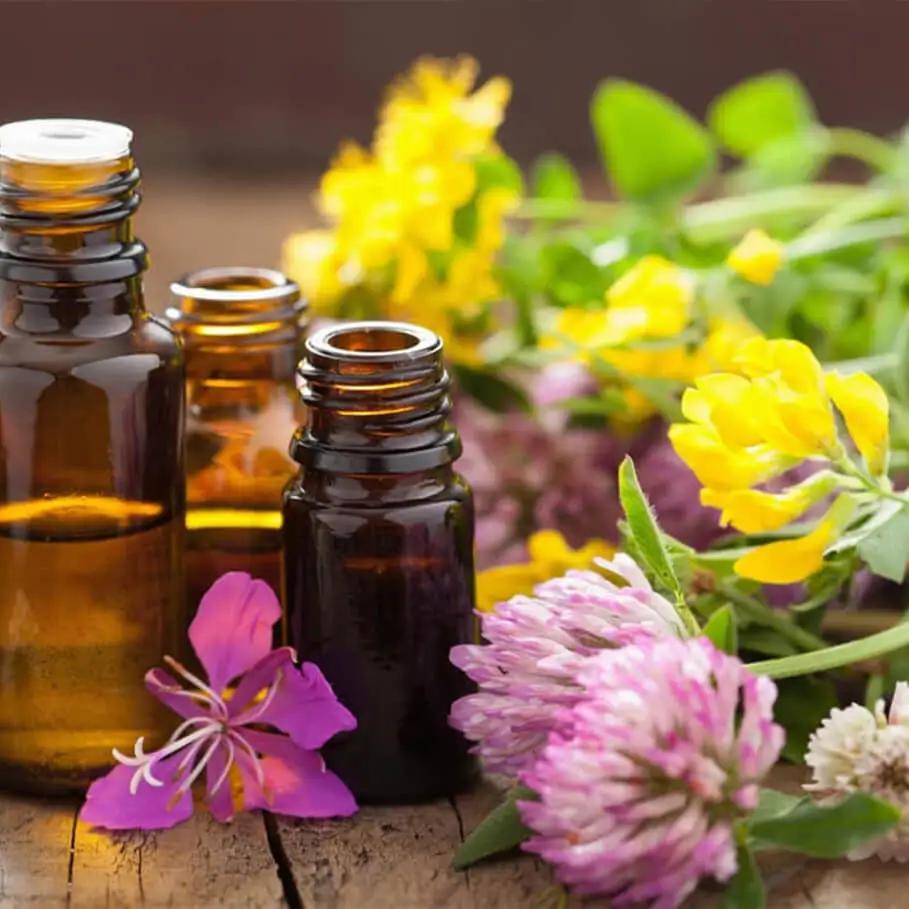 Dr. Bach’s aromaterapi – blomsteressenser & naturlig følelsesmæssig balance | Studio Buus