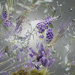 Free from unpleasant odours – lugtneutralisering fra Maison Berger | Studio Buus