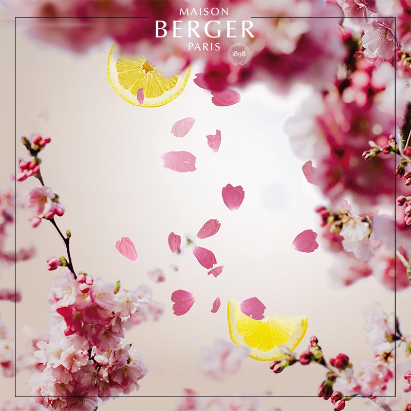 Kirsebærblomster – symbol på fornyelse &amp; skønhed i hjemmet | Studio Buus