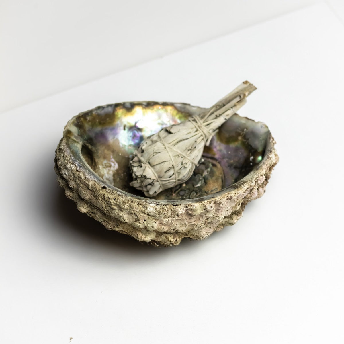Abalone muslingeskaller - naturlige &amp; spirituelle | Studio Buus