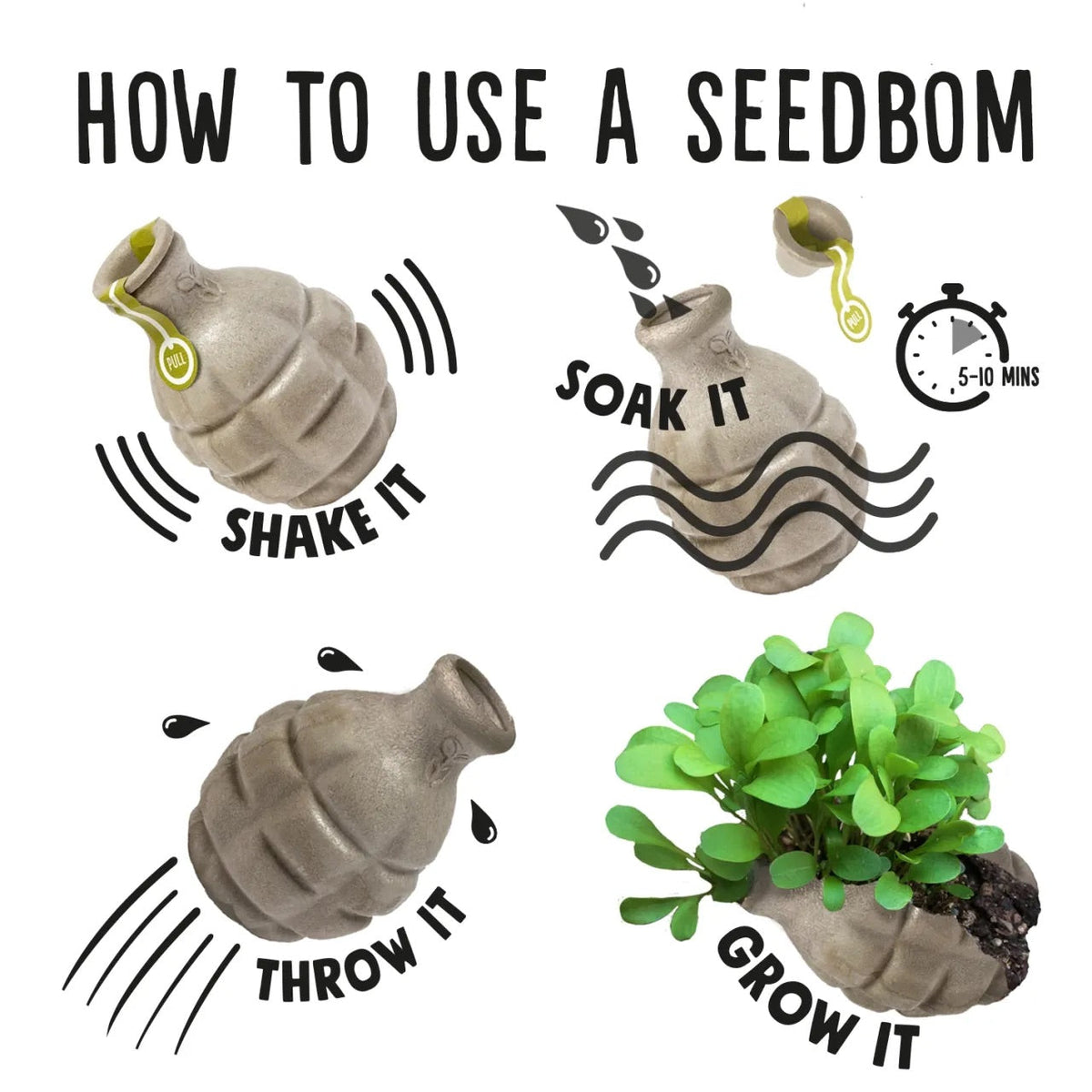 Illustration af hvordan man bruger en frøbombe til at dyrke vilde blomster, med vejledning