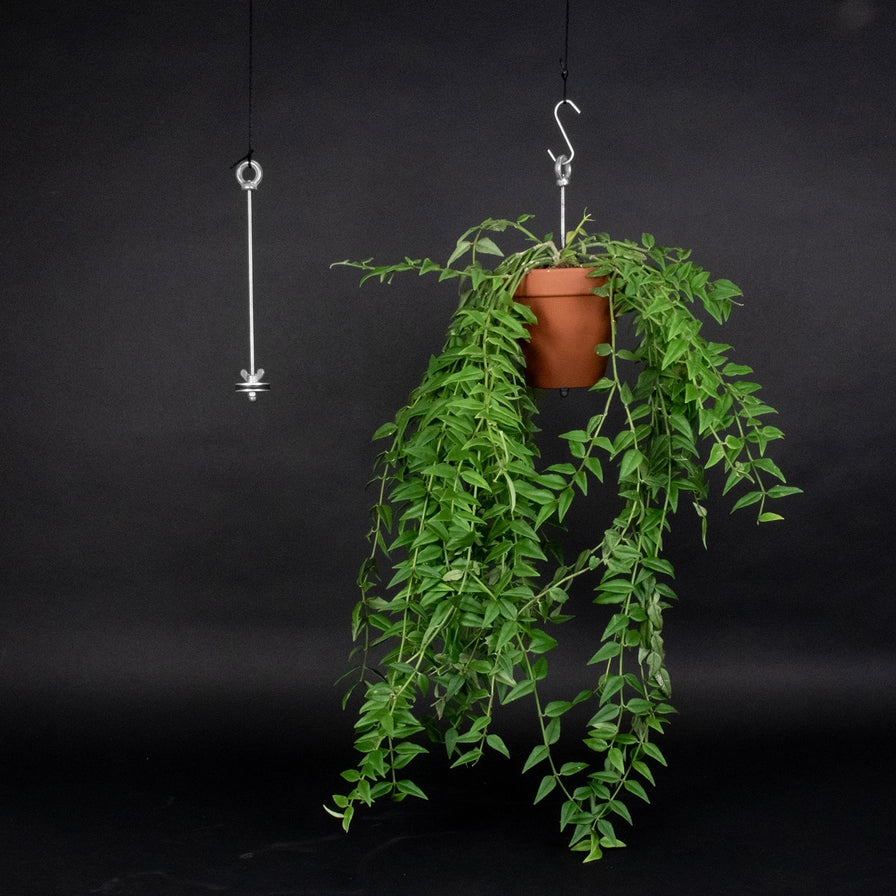 Hængende plantebeslag til potter i rustfrit stål til indendørs og udendørs have