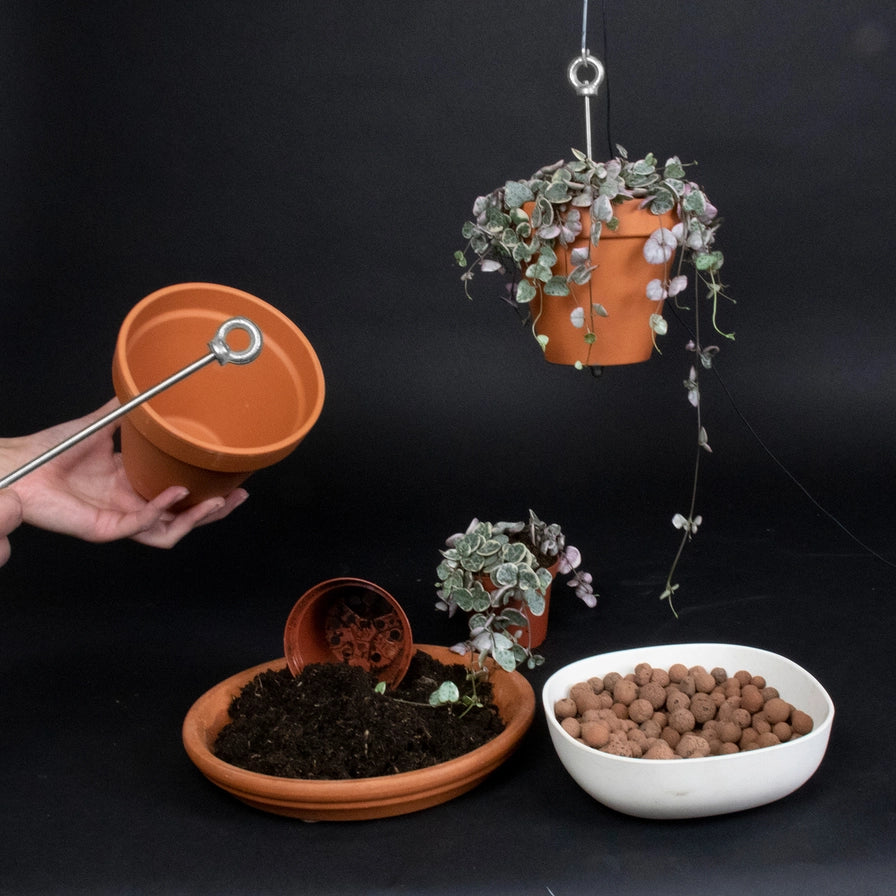 Hængende plantebeslag til potter - Bolty fra Botanopia