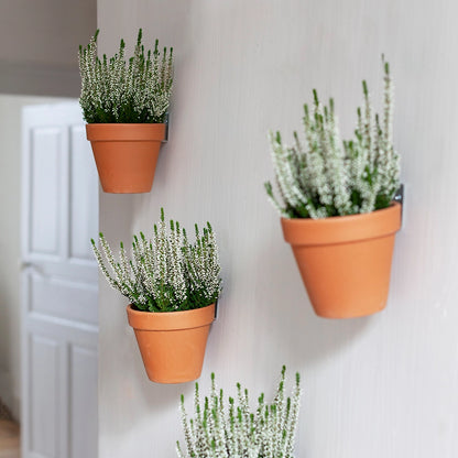 Vægbeslag til potter – Clippy, plantevæg, vægophæng, indendørs planter, pladsbesparende