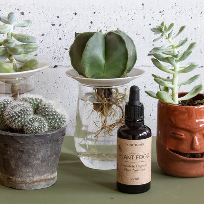 Økologisk plantegødning i dråbeflaske til blomster og planter