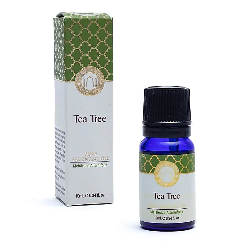 Økologisk Tea Tree æterisk olie i blå glasflaske med emballage til personlig pleje og wellness