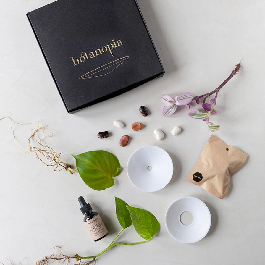 Botanopia spiresæt med porcelænskåle, frø, økologisk gødning og planter til hjemmet