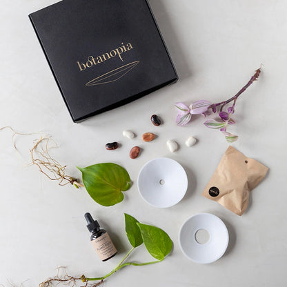 Botanopia spiresæt med porcelænskåle, frø, økologisk gødning og planter til hjemmet