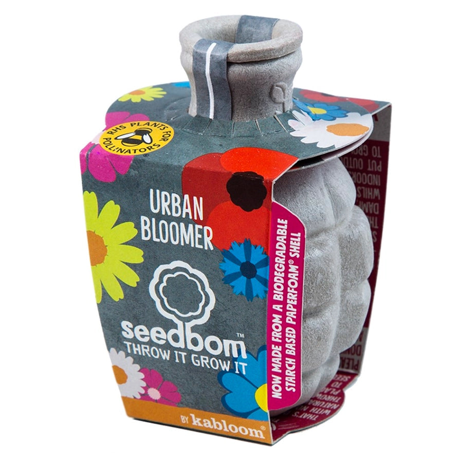 Biodiversitets frøbombe med vilde blomster til bier