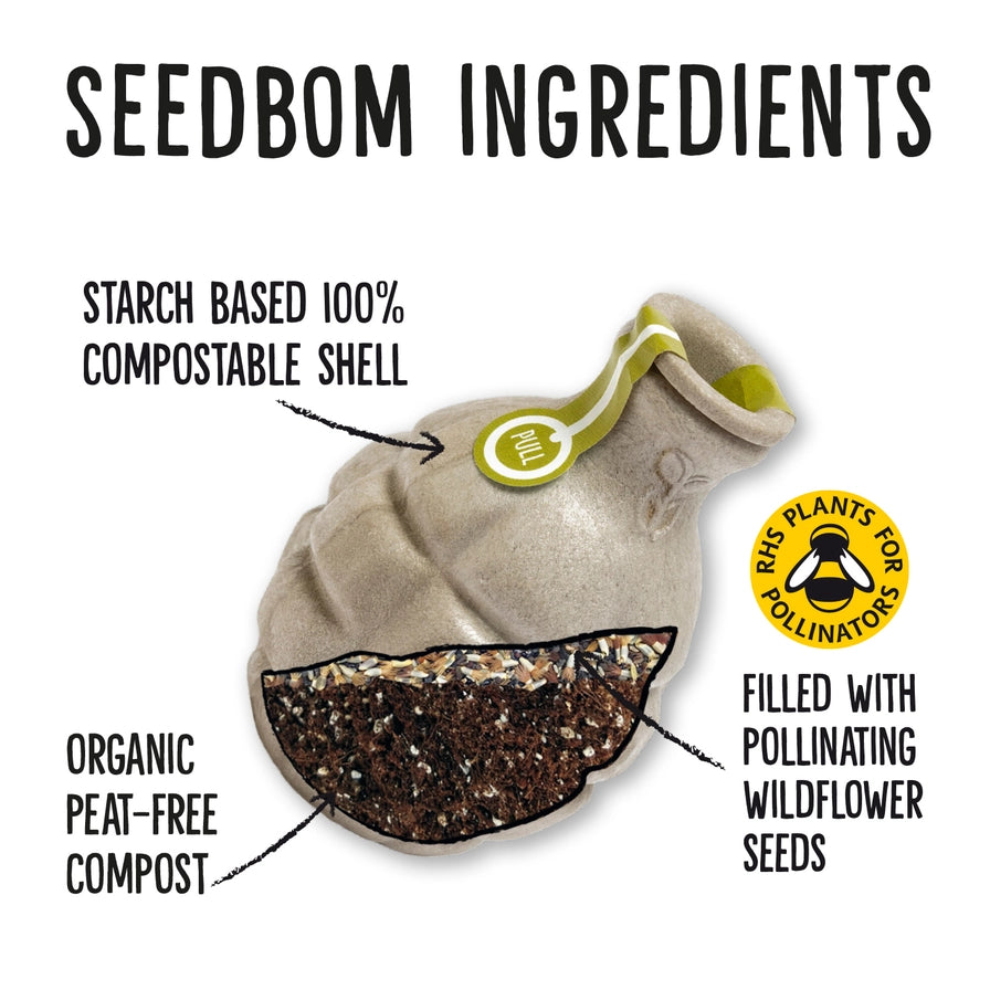 Frøbomber biodiversitet – vilde blomster til bier, sommerfugle &amp; natur