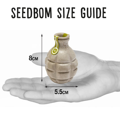 Størrelsesguide for frøbombe, 8 cm høj og 5,5 cm bred
