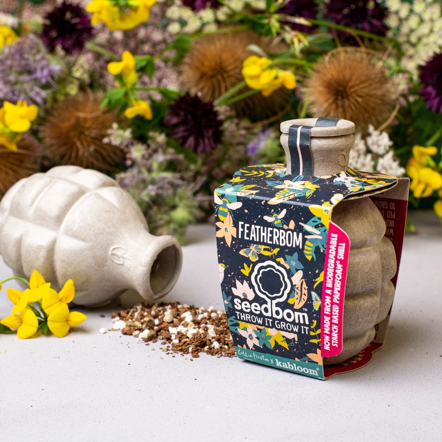 Frøbombe til haven med vilde blomster og pollinatorvenlige planter