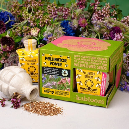 Frøbomber med vilde blomster til biodiversitet i haven og byen