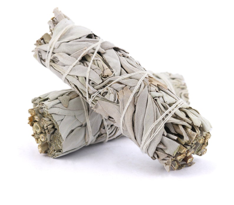 Hvid salvie smudge bundt til energirensning og meditation