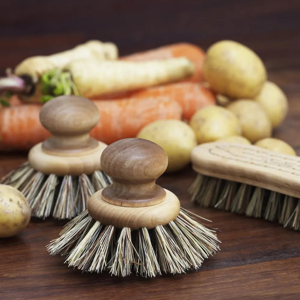 Køkkenbørste med træhåndtag og børstehår af naturfibre omgivet af rodfrugter og grøntsager