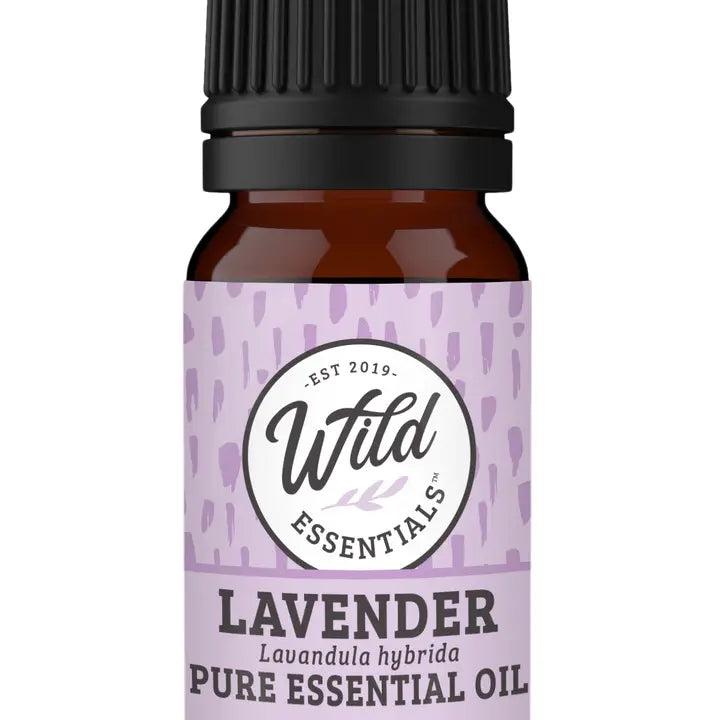 Lavendel (Lavandula hybrida) | 10 ml æterisk olie