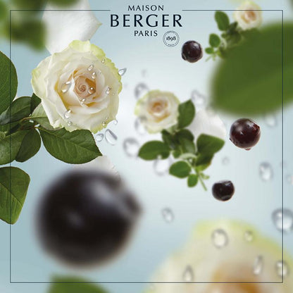 Frisk refill til Maison Berger bildiffuser med Ocean Breeze – en ren og maritim duft, der bringer havets lethed ind i bilen.