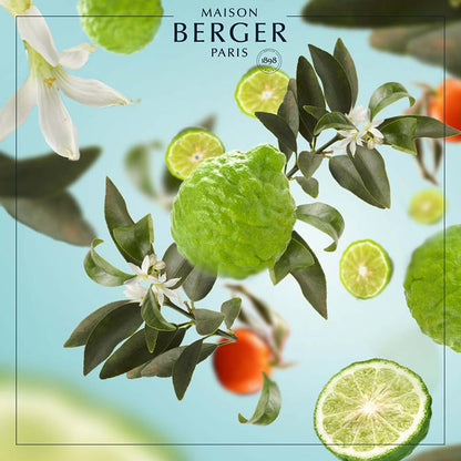 Maison Berger reklame med citrusfrugter og grønne blade, hjemduft