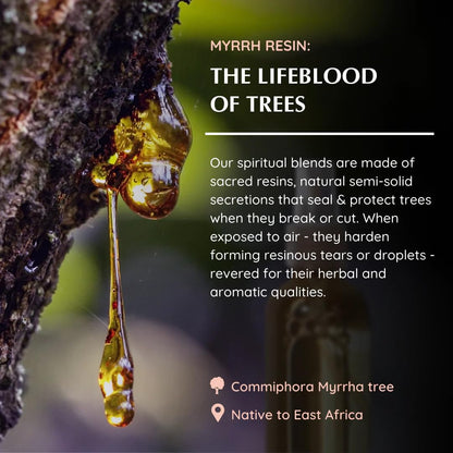 Myrrh resin dråber, naturlig luftfrisker, aromafume