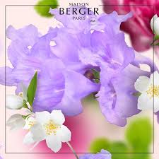 Blomstergardiner med lilla og hvide blomster til hjemmeduft