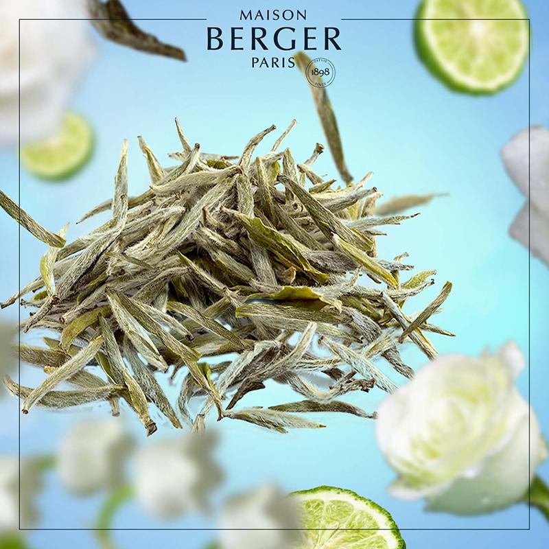 Maison Berger aroma diffuser refill med hvid te duft og lime