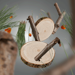 Naturmotiv med træstammer og grene, hjemmeduft, Maison Berger, dansk