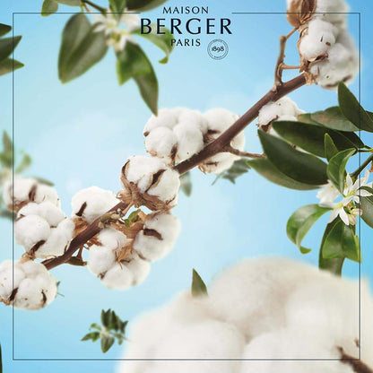 Maison Berger logo med bomuldsblomster, cotton duft, hjemmeduft, naturlig aroma
