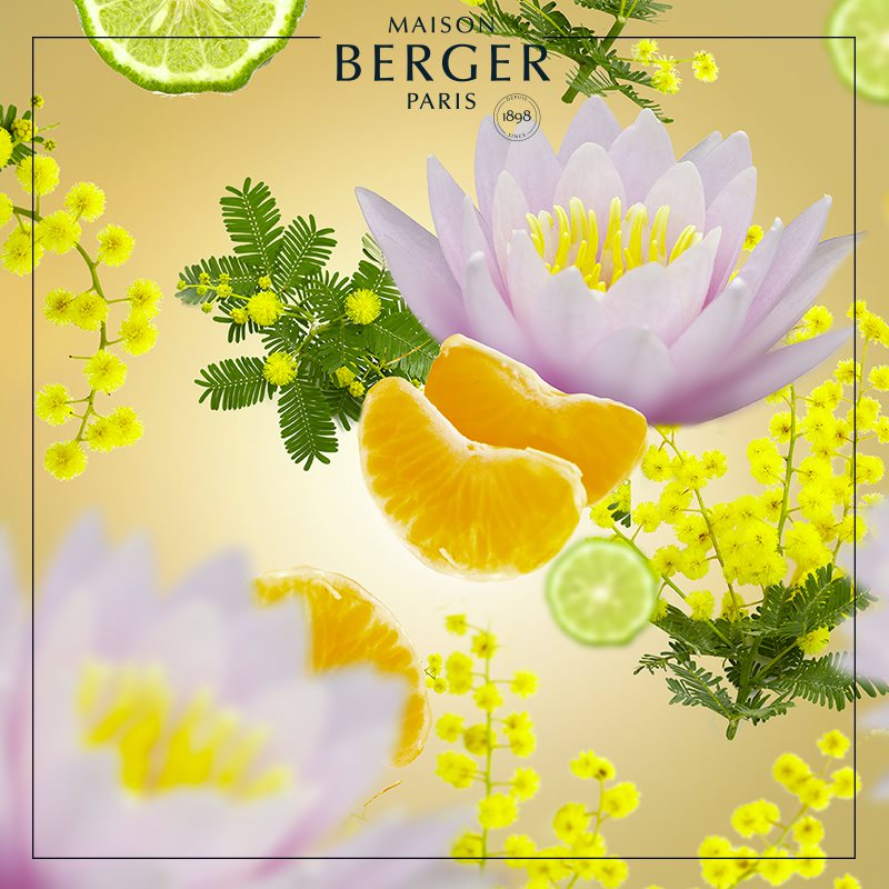 Maison Berger blomster- og citrusduft med lotus, citron og gule blomster