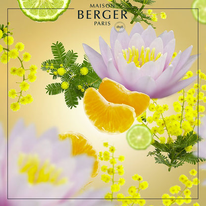 Maison Berger blomster- og citrusduft med lotus, citron og gule blomster