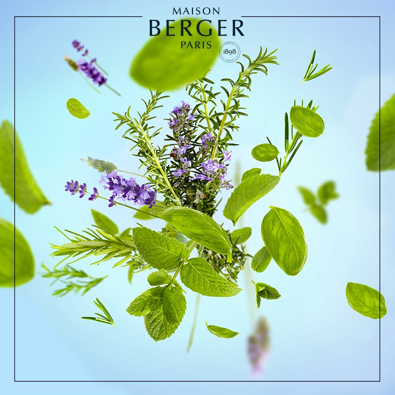 Focus Aromaterapi - Duftpinde Refill - Ren duft - Maison Berger