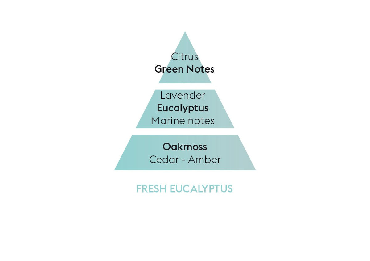Fresh Eucalyptus - Flakon m. Duftpinde - Frisk duft - Maison Berger