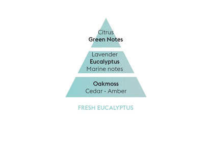Fresh Eucalyptus - Flakon m. Duftpinde - Frisk duft - Maison Berger