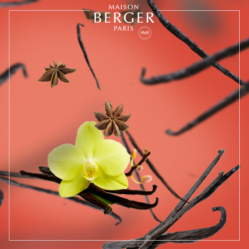 Vanilla Gourmet fra Maison Berger – en forførende gourmandduft med blød vanilje, kakao og tonkabønner, perfekt til varme, hyggelige øjeblikke.